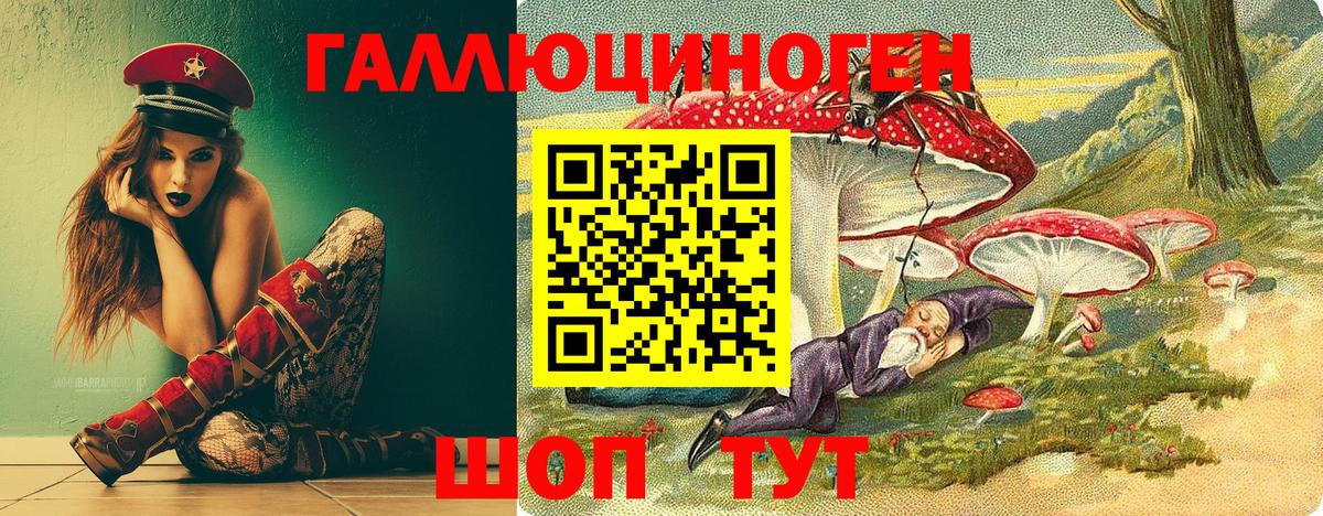 Галлюциногенные грибы мухоморы Дзержинский