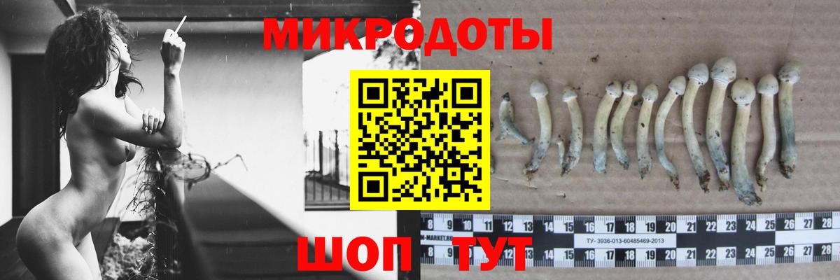 Дзержинский  Псилоцибиновые грибы GOLDEN TEACHER  Вход с VPN 